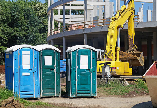 Best Portable Toilet Rental for Emergency Services  in Niles, MI